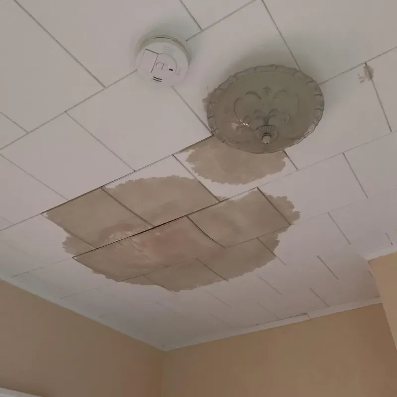 Ceiling Water Damage Repair in Forest Hills, PA